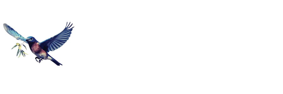Teran James Young Foundation